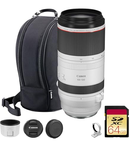 Amazon.com : Canon 300mm F2.8 L is II USM EF Lens : Camera Lenses