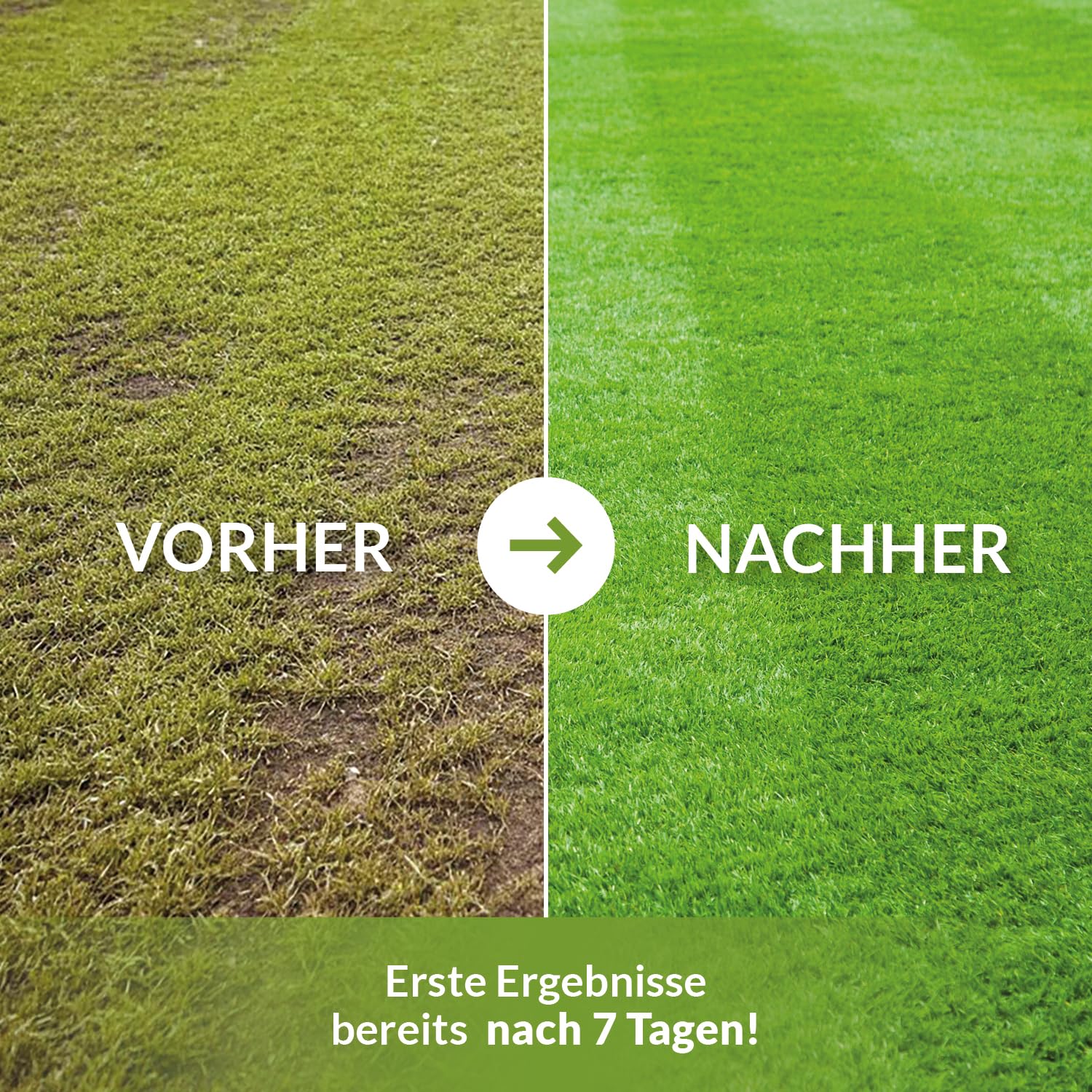 TerraDomi Rasendünger Sommer 20kg NPK 15-15-15 für 1000 m² 3