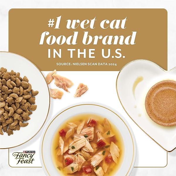 PURINA FANCY FEAST SAVORY CENTERS WET CAT FOOD PATE VARIETY PACK WITH CHICKEN, SALMON, BEEF, AND TUNA PATE WITH GRAVY CENTER – (2 PACKS OF 12) 3 OZ. PULL-TOP CANS