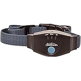 sunbeam dog collar