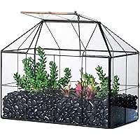 NCYP Geometric Terrarium Planter - 25x13.5x20 cm - Grid House Shape Glass Terrarium Box for Succulent Cacti Air Plants, Moder