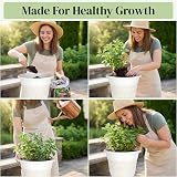 SG Traders Large Tampa Urn Plant Pot Stand 33x39cm Pack of 2 view 7