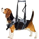 Amazon Com Coodeo Dog Lift Harness Pet Support Rehabilitation Sling Lift Adjustable Padded Breathable Straps For Old Disabled Joint Injuries Arthritis Loss Of Stability Dogs Walk Small Kitchen Dining
