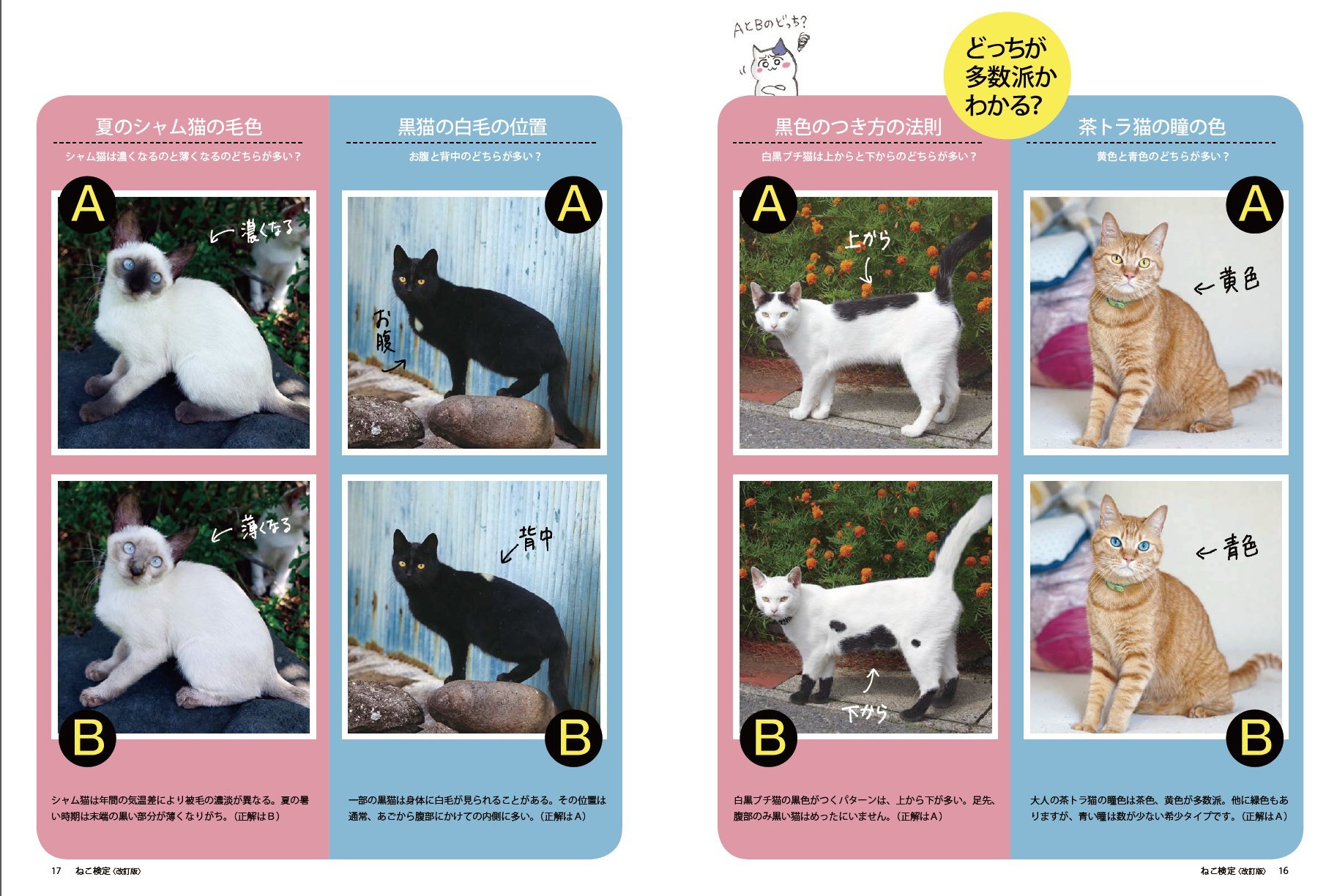 Cat Test Official Guide Book Rev 廣済堂 Besutomukku 370 Amazon Com Books