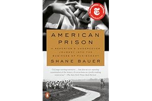American Prison: A Reporter's Undercover Journey into the Business of Punishment