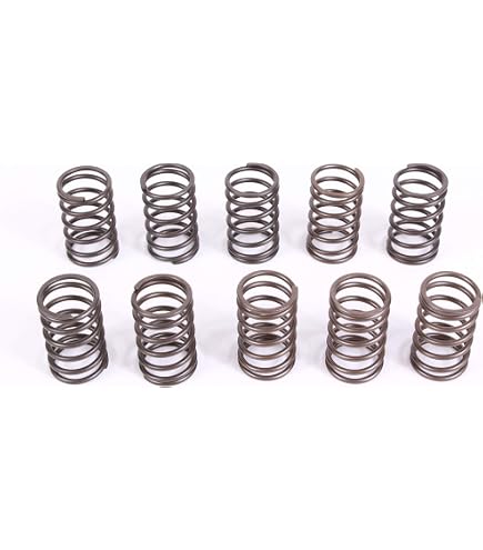 Amazon.com: Honda 2 Pack Genuine 14751-ZE1-000 Valve Spring OEM