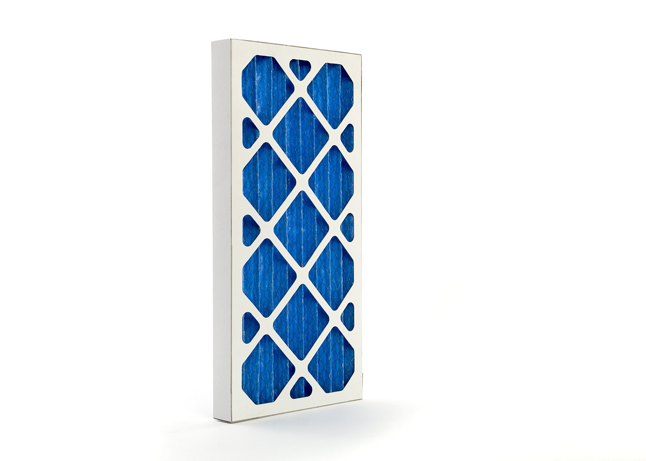 GVS Filter Technology G4P.12.24.2.SUA001.002 G4 Pleated Panel Filter, Blue/White (Pack of 2)