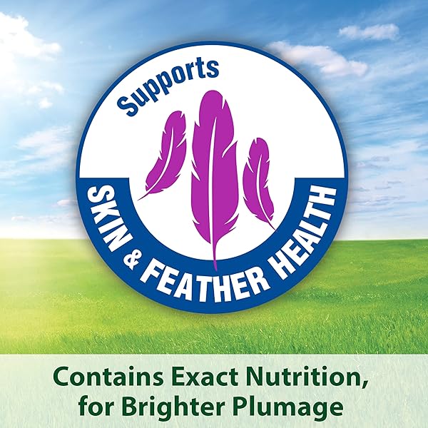 KAYTEE FORTI-DIET PRO HEALTH NOURISH+PROTECT PARAKEET FOOD, COMPREHENSIVE NUTRITION BACKED BY SCIENCE, DIGESTIVE HEALTH, IMMUNE SUPPORT, 2 POUNDS