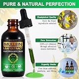 zoxpm Mullein Drops for Lungs 60ML Mullein Leaf Extract 30:1 2800MG view 5