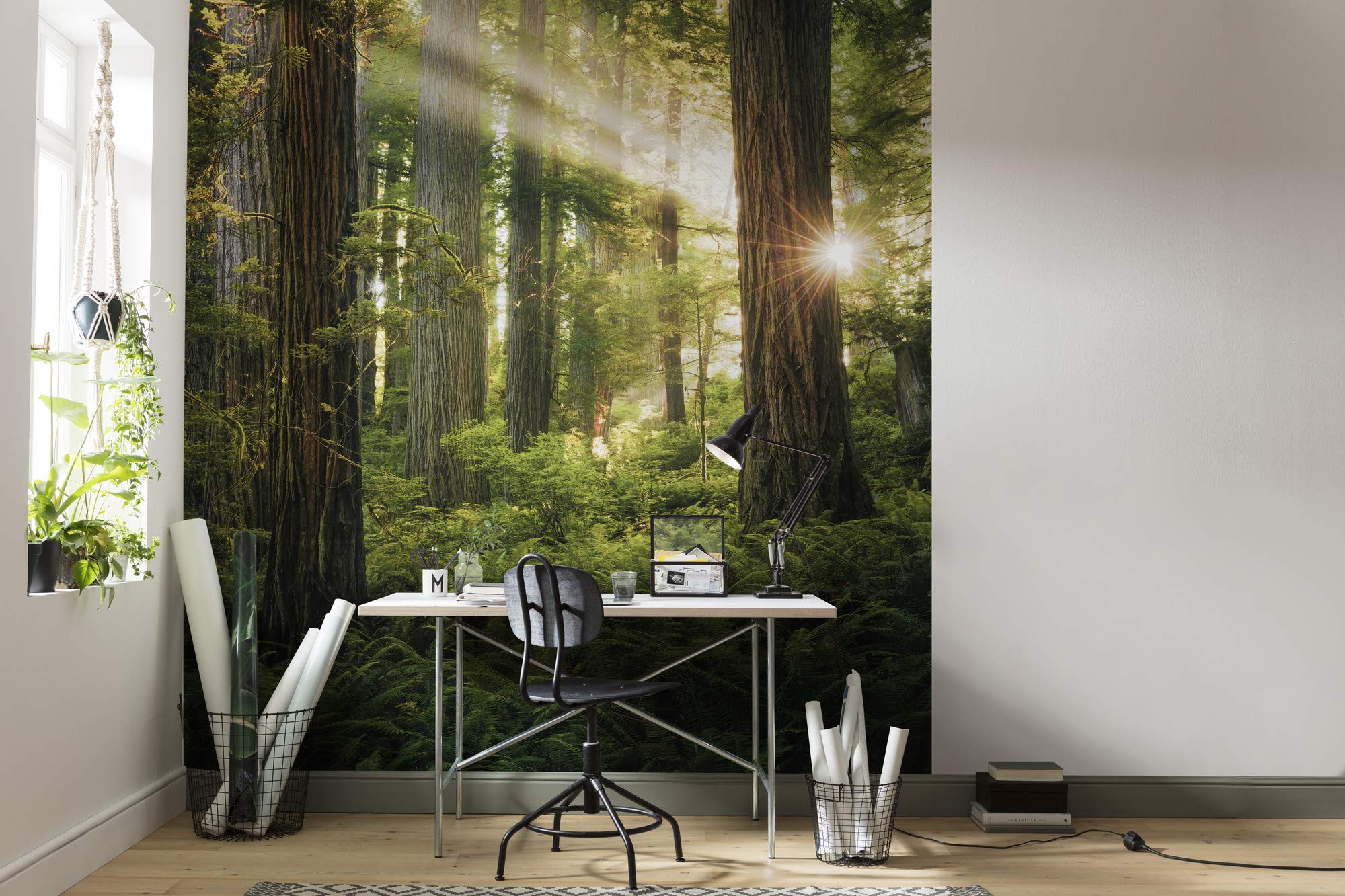Komar Goblins Woods Non-Woven Photo Wallpaper, XXL, Decoration, Nature, Landscape, Bedroom, Living Room, Office, Hallway, Size 250 x 280 cm (Width x Height), SHX5-037