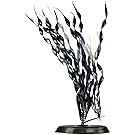 Pearlscaper Corkscrw Valisneria Plant, 8-Inch