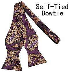 Hi-Tie Mens Suit Vest Bowtie Set Ties for Men V