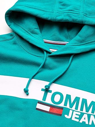 tommy hilfiger essential graphic hoodie