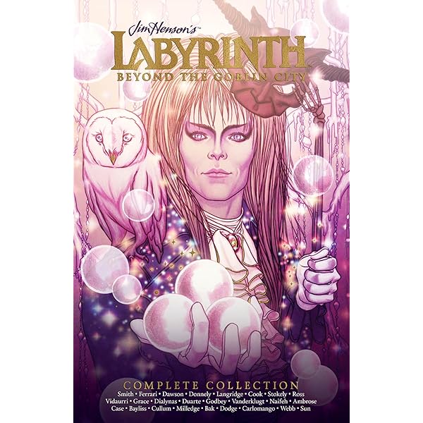 Amazon.com: Return to Labyrinth Volume 3: 9781598167276: Jake T