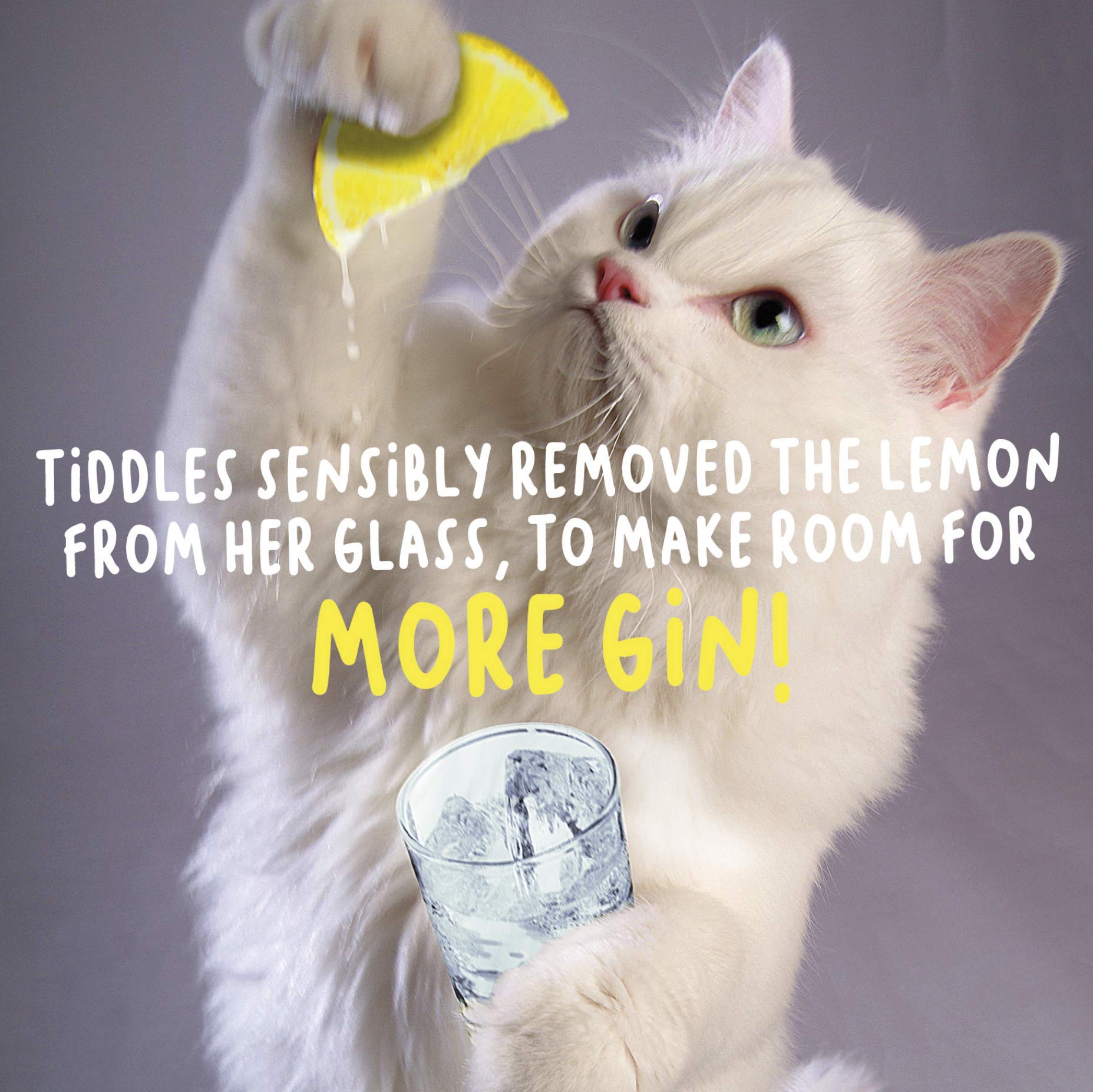 Virtual Safari Birthday Card for Her, Humorous Female Birthday Card, Tiddles Sensible Removed the Lemon from her Glass…, Multi-Coloured