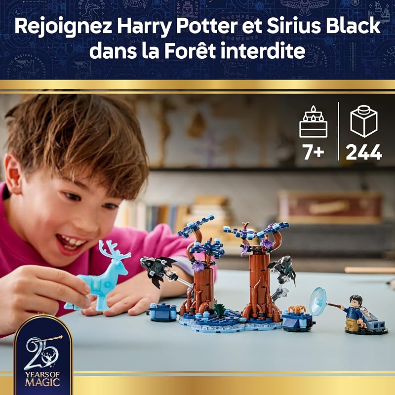 Harry Potter La Forêt Interdite : Expecto Patronum 76475