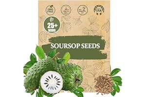 WILY FOX Premium Soursop (Graviola) Seeds – 25+ Non-GMO Heirloom - Fast-Growing, High-Yield Tropical Fruit Trees