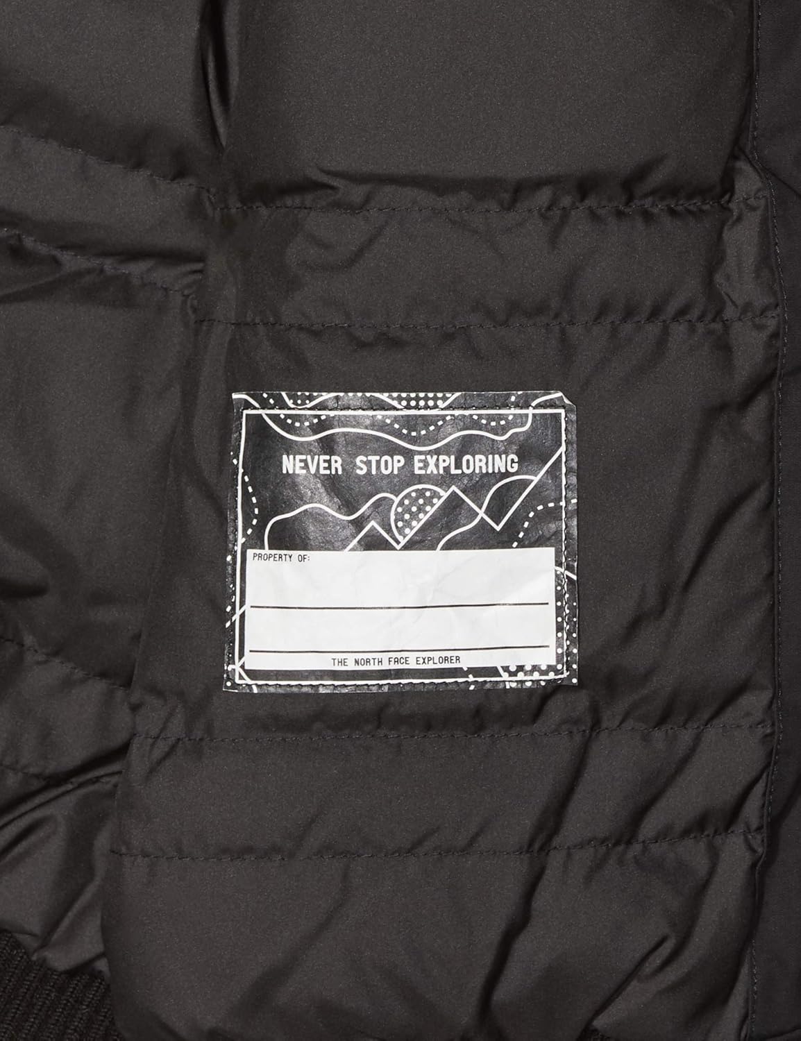 The North Face Boy's Gotham Down Jacket : Clothing