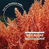 ALPHA01 Wild-Algae Astaxanthin 160mg 90 Softgels Resealable Pouch view 4