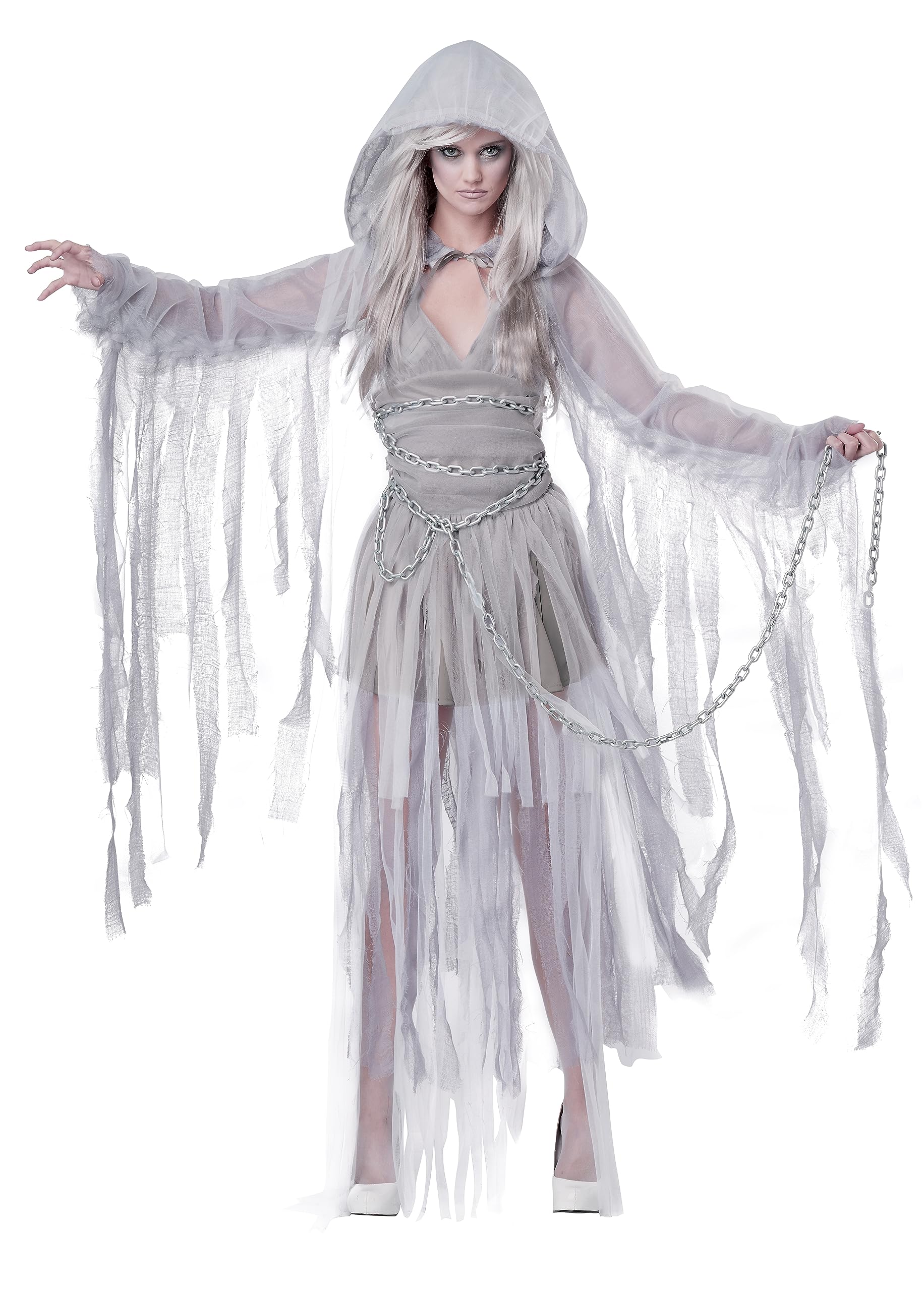 Photo 1 of California Costumes Women's Haunting Beauty Costume Large Silver