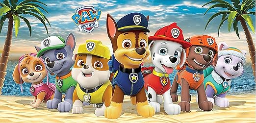 paw patrol beach