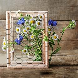 Chicken Wire 13.7 in x 236 in Poultry Wire Netting