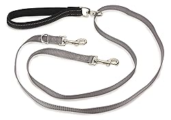 PetSafe Two Point Control Leash, Padded and