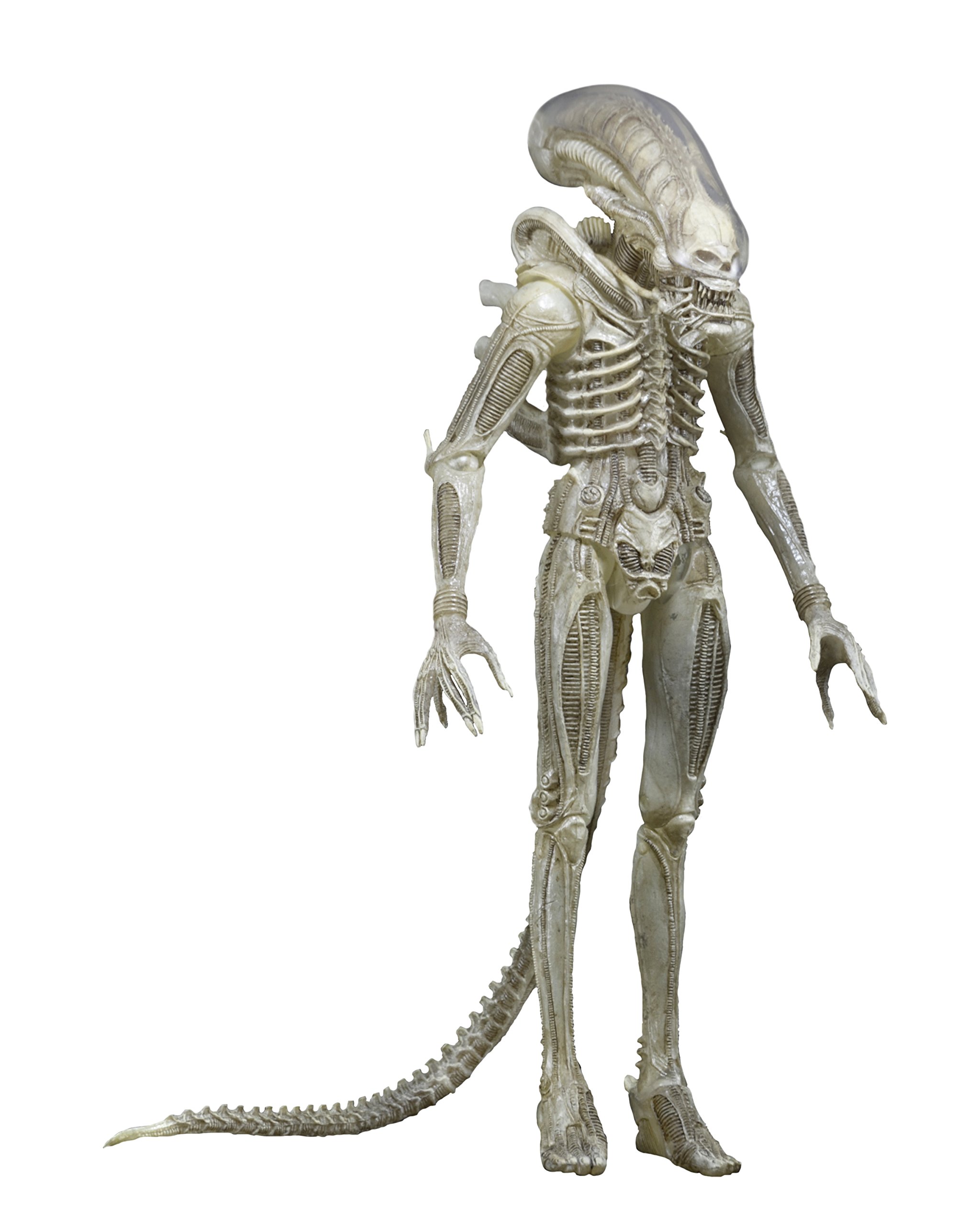NECA Aliens Series 7 Concept 79' Action Figure (7" Scale)