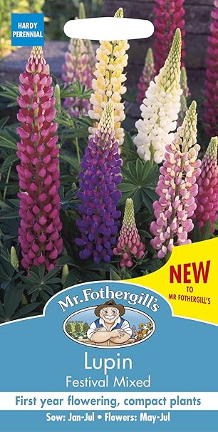 Amazon Mffl Mr Fothergill S Seeds Lupin Festival Mixed ルーピン ルピナス フェスティバル ミックス 花