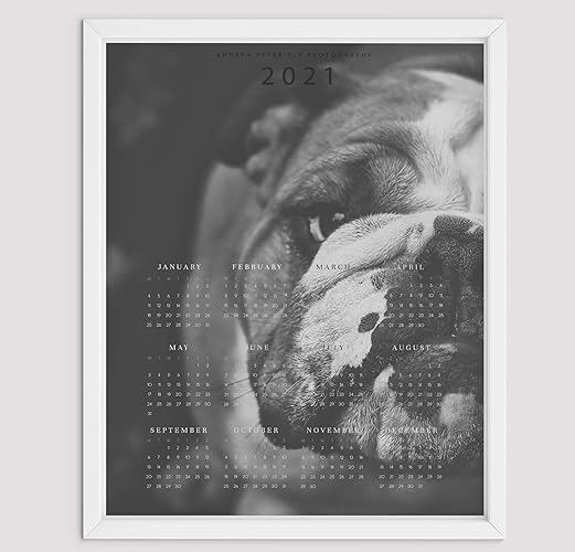 Amazon.com: English Bulldog Gifts Dog Calendar 2021 Wall Art Print Amazon.com: English Bulldog Gifts Dog Calendar 2021 Wall Art Print