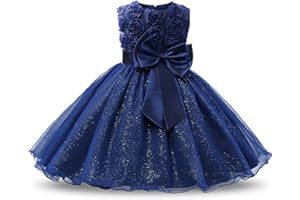 NNJXD Girl Sleeveless Lace 3D Flower Tutu Holiday Princess Dresses