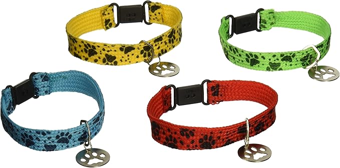dog collar and bracelet