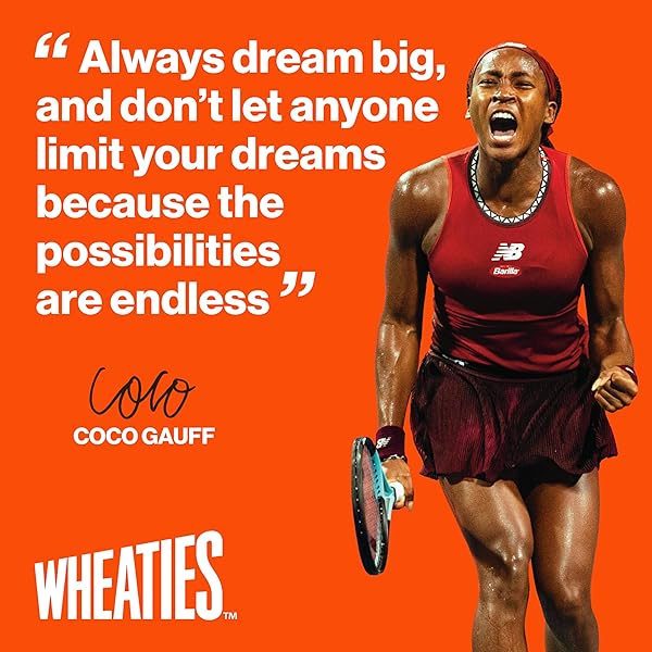 WHEATIES BREAKFAST CEREAL, BREAKFAST OF CHAMPIONS, 100% WHOLE WHEAT FLAKES, 15.6 OZ
