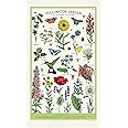 Cavallini & Co., Garden Pollinator Vintage Kitchen/Tea Towel Multicolor