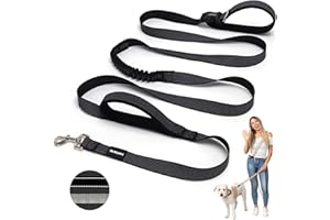 PAWZPAL 8–10FT Hands Free Dog Leash – Adjustable Waist & Crossbody 2-in-1 Belt, Shock-Absorbing Bungee, Reflective Outdoor Le