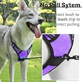 Belababy Dog Harness Front Clip No Pull Reflective Adjustable Purple S view 4