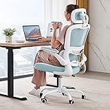 TRALT Office Chair Ergonomic Desk Chair, 330 LBS