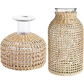 DOITOOL Glass Vase with Rattan Cover, Farmhouse Rattan Vase, Wicker Vase Flower Bud Vase, Decorative Flower Vase Floral Container for Floral Arrangements Housewarming Party Home Decor (L+XS)