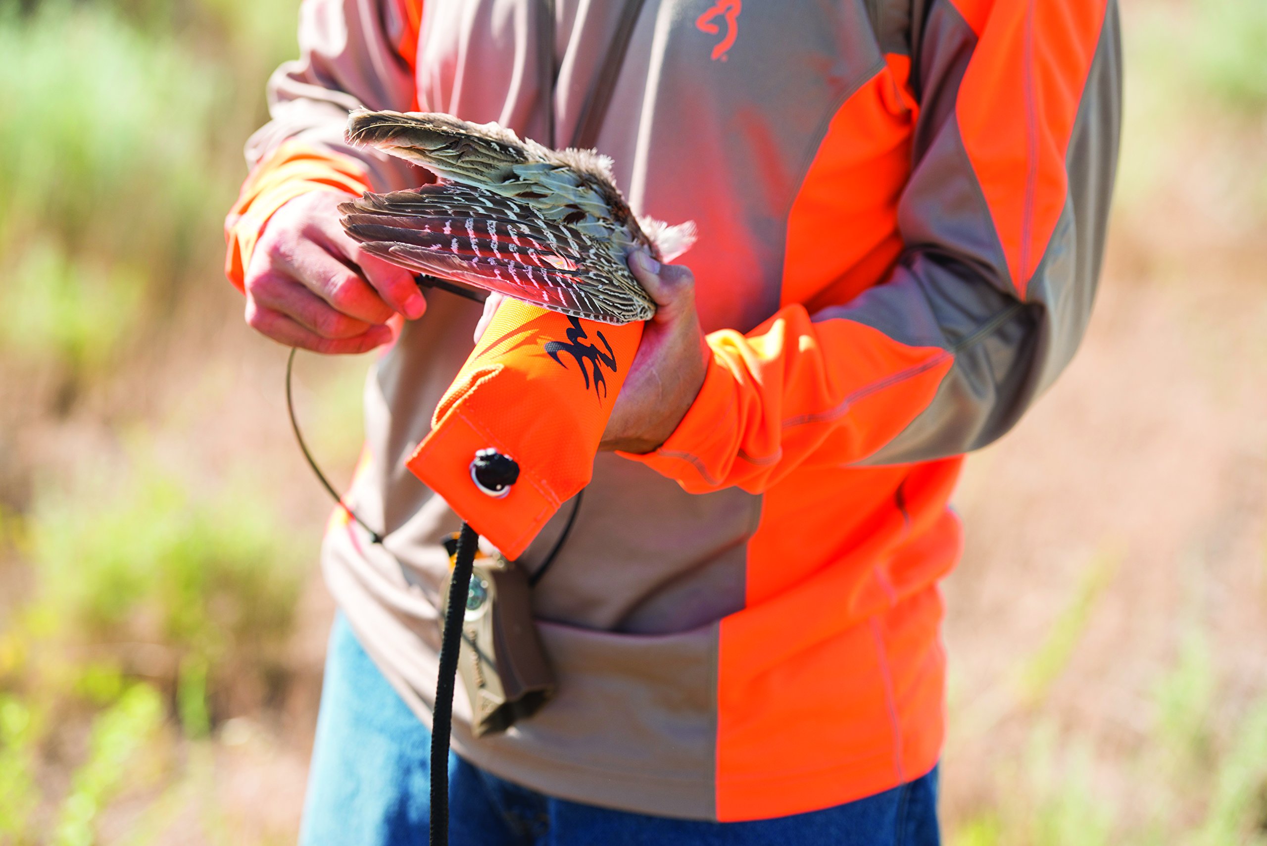 hunting dog equipment / shop - super savings! save up to