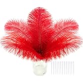 SOGUGOM Red Craft Ostrich Feathers, 30PCS 6-8 inch | Bulk Decorative Feathers Kit for Crafting, Centerpieces, Hat and DIY Projects