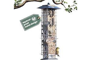 Perky-Pet 336-1SR Squirrel-Be-Gone Bird Feeder, 2LB Squirrel Proof Outdoor Wild Bird Feeder with Weight-Activated Perches