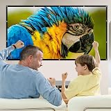 Funvalley Surperfect 100" HD Projector Screen, Portable Double-Sided view 7