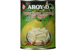 Jackfruit in Brine (Ka Noon) - 20oz (Pack of 3)