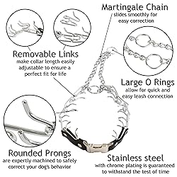 Herm Sprenger Prong Collar for Dog Training with
