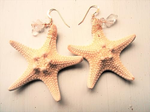 Amazon Mermaid Jewelry 天然 ミニコブヒトデ スターフィッシュ ヒトデピアス シェルアクセサリー クリスタル 14kgf フックピアス ハワイアンジュエリー ハンドメイド ピアス 通販