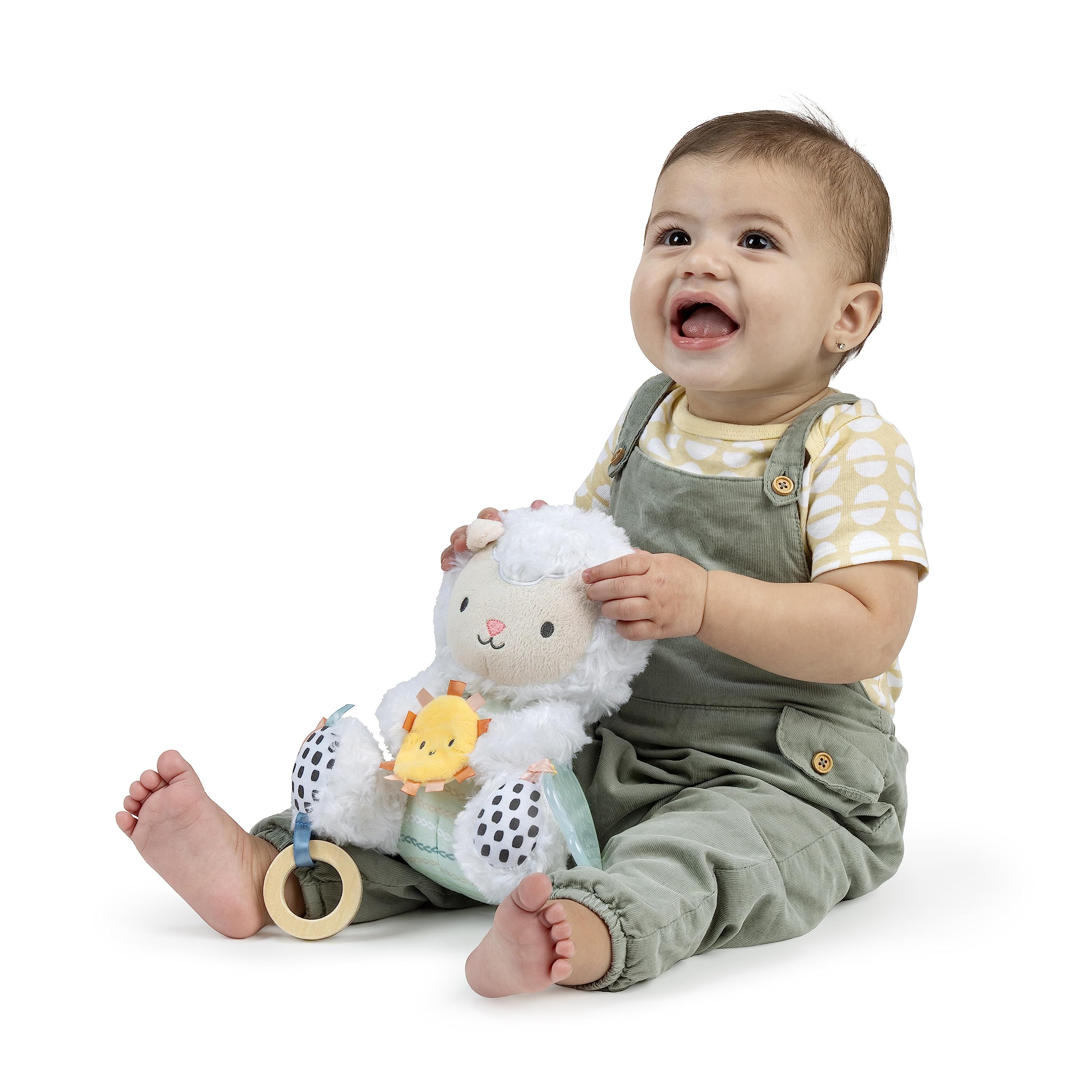 Ingenuity Calm Springs Plush Activity Pal BPA-Free Cloud Teether, Multi-Texture Fabrics, Sheppy