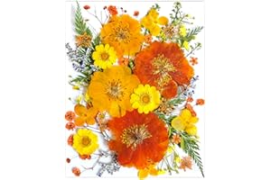 LUCISKY 35Pcs Yellow Pressed Dried Flowers for Resin Molds, Real Natural Bulk Orange Dry Floral Leave for DIY Art Crafts, Epoxy Jewelry, Candle, Soap Making, Nails Decors