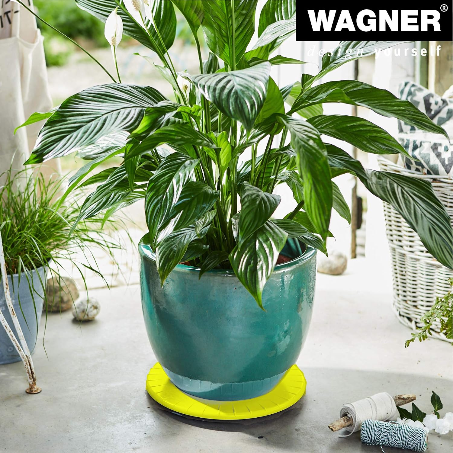 WAGNER Plant trolley ULTRAFLAT diameter 30 x 2,5 cm I Plant trolley for indoor use I Extra flat container trolley made of ABS synthetics - Image 3