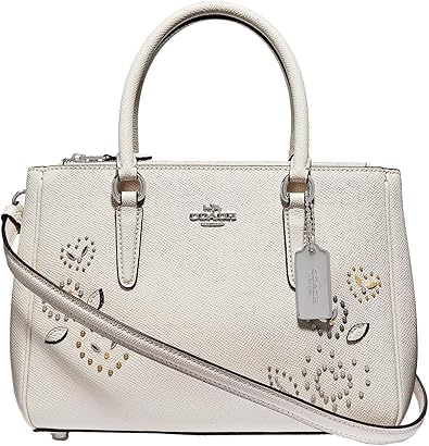 mini surrey carryall coach