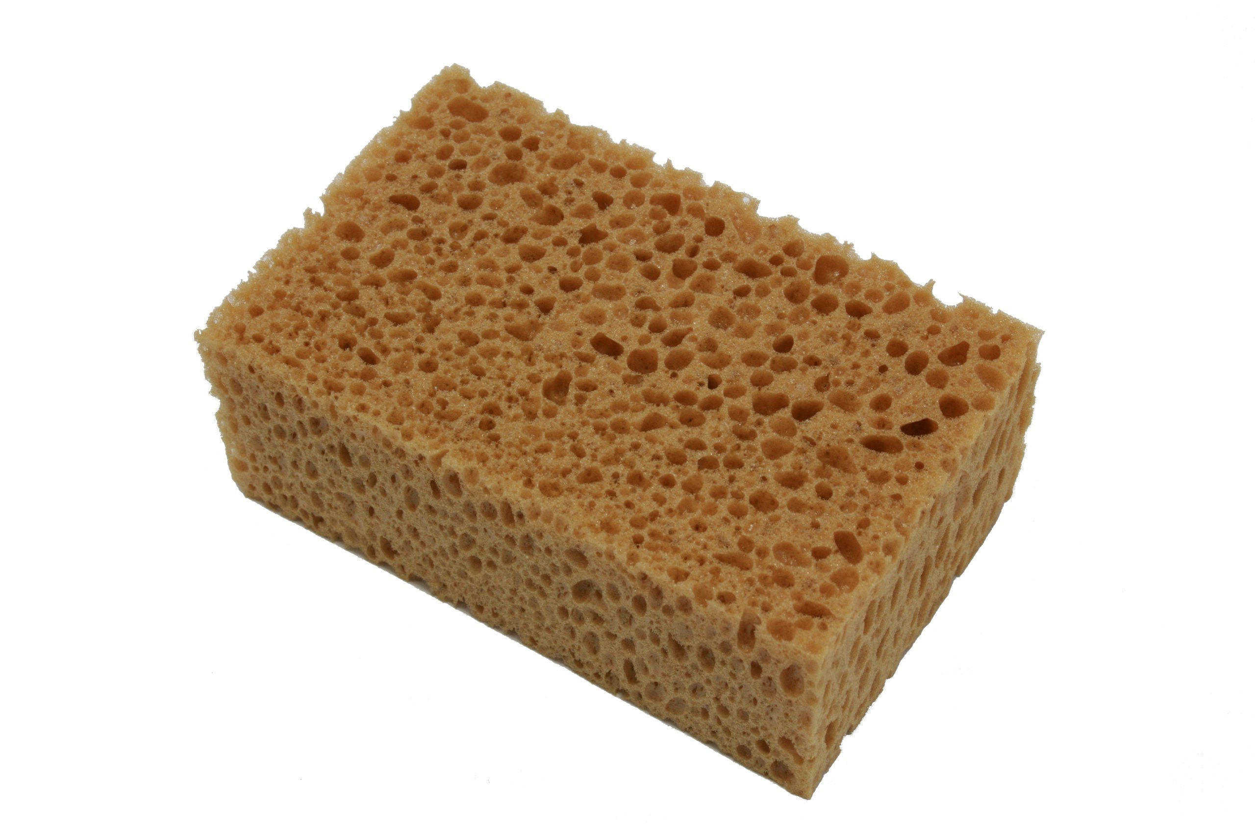 IWH 72011 Natural Sponge, 16 x 11 x 6 cm
